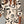 dd22b02bc00346d3972b79db6a05ac02-Max-Origin